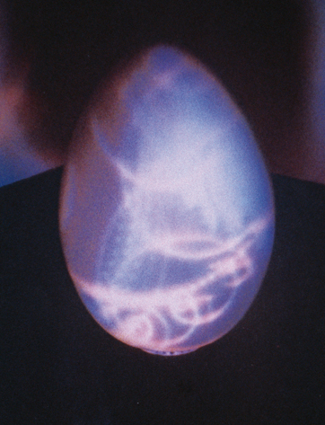 Nam June Paik | The 20th anniversary of his passing